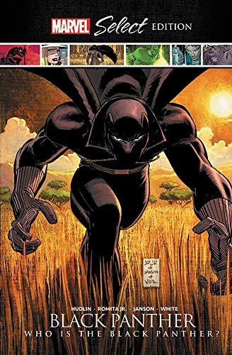 Black Panther: Who Is the Black Panther? #[nn] cover