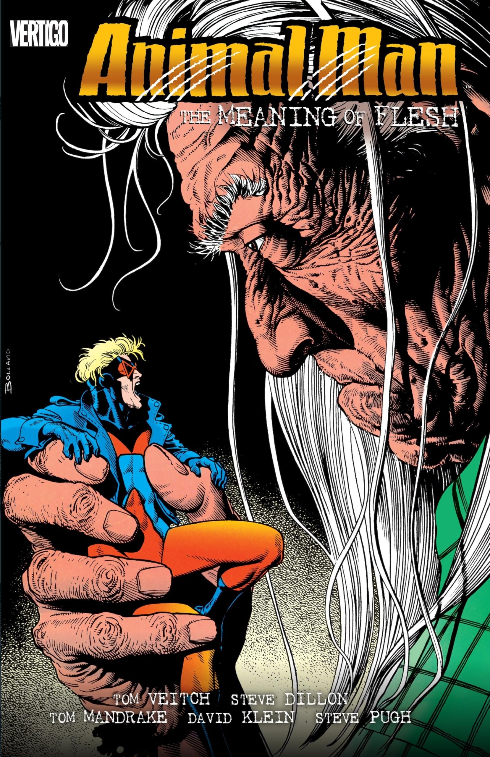 Animal Man: The Meaning of Flesh #[nn] cover
