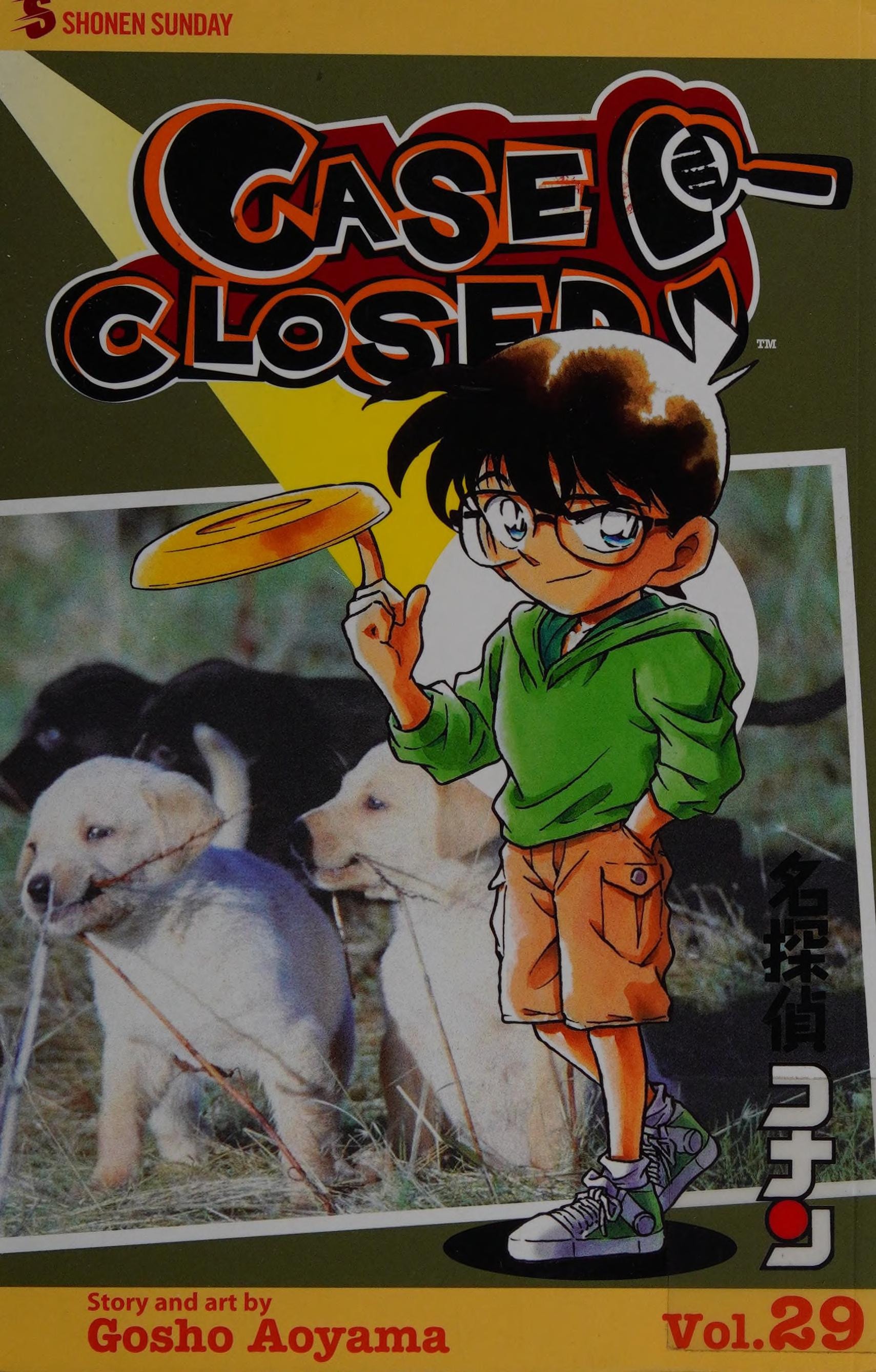 Case Closed #29 cover