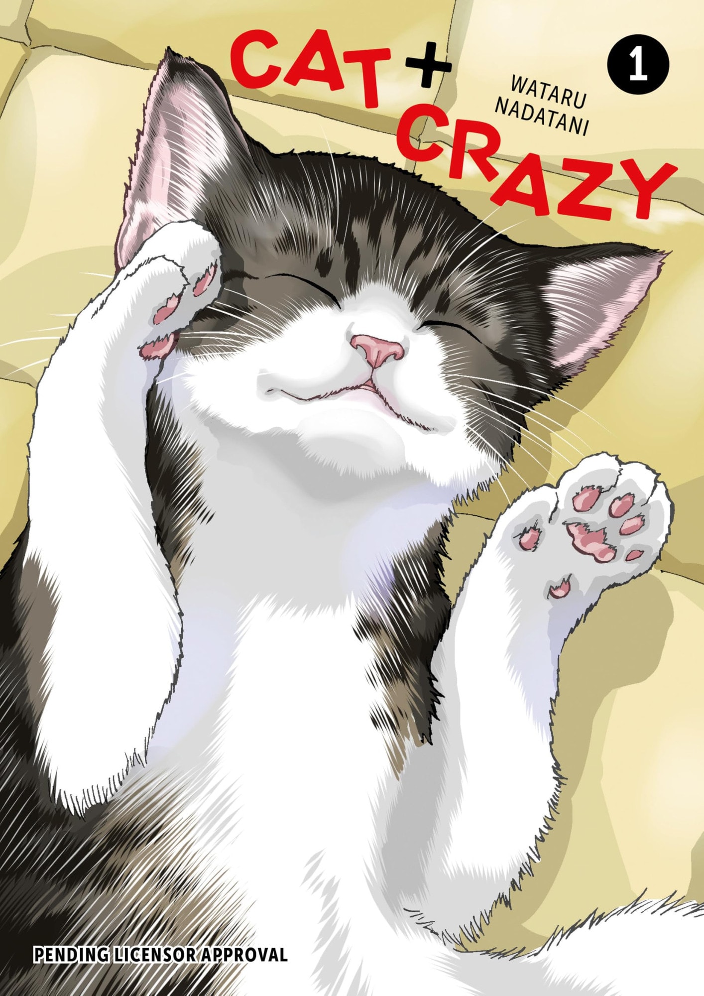 Cat + Crazy #1 cover