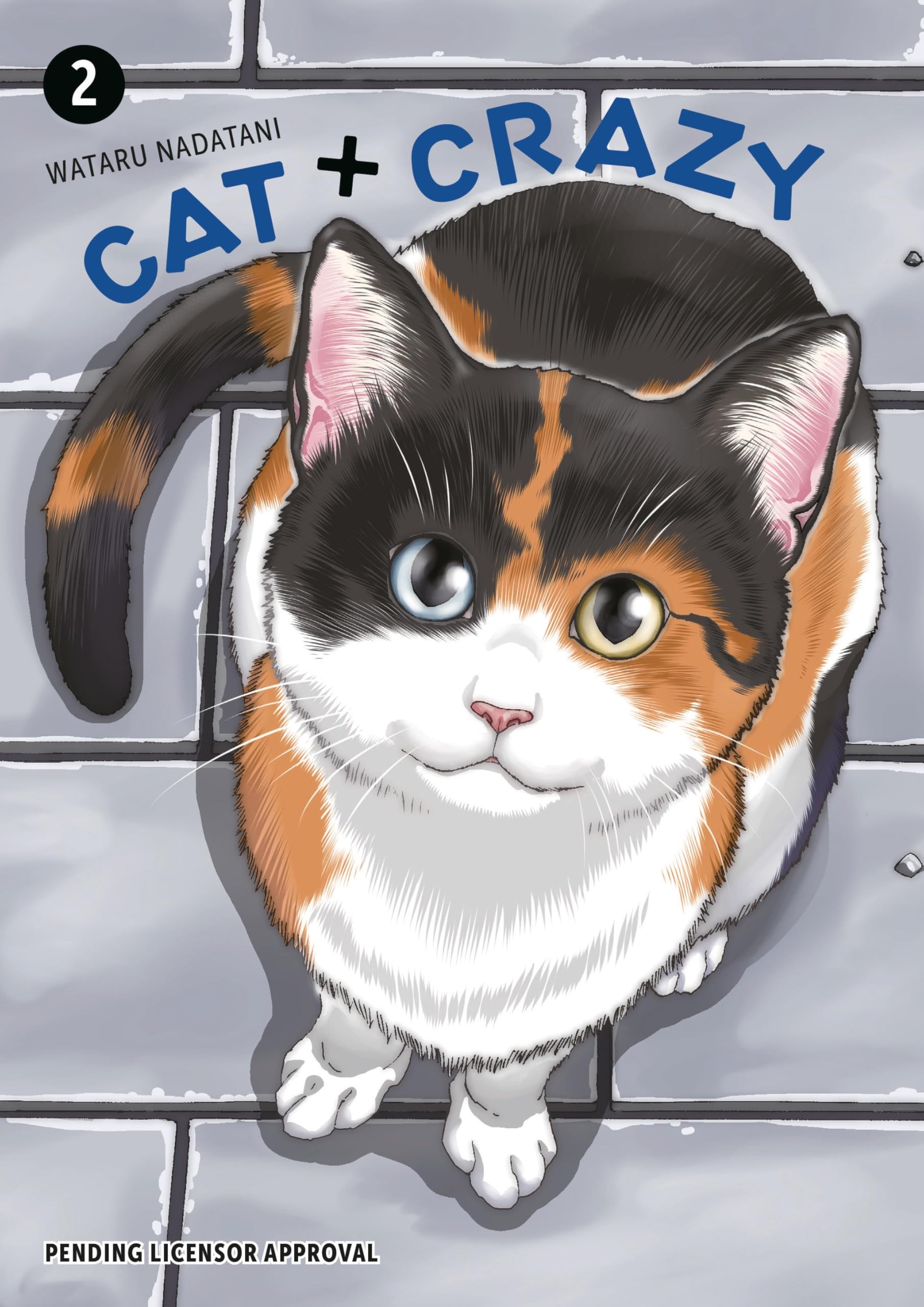 Cat + Crazy #2 cover