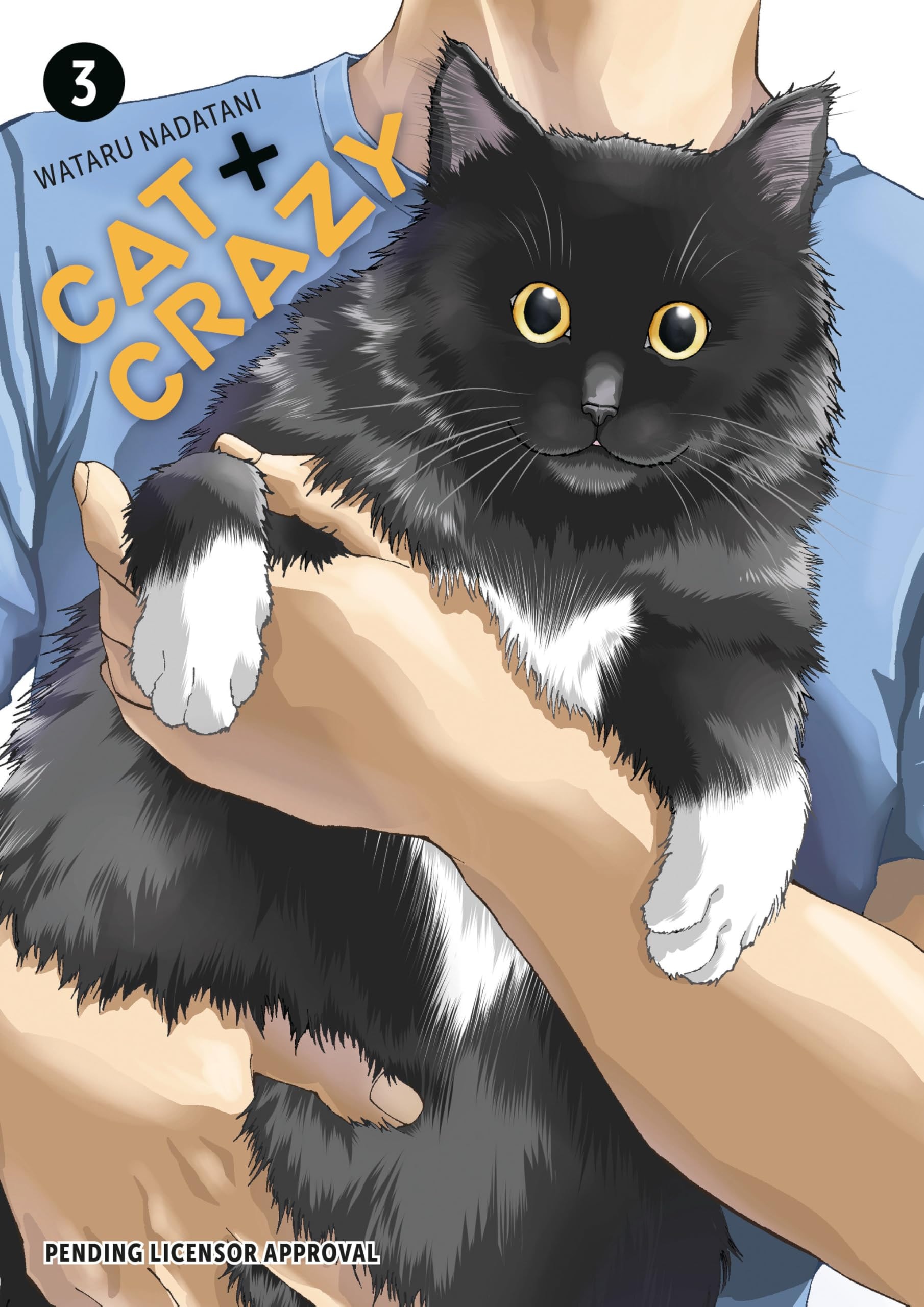Cat + Crazy #3 cover