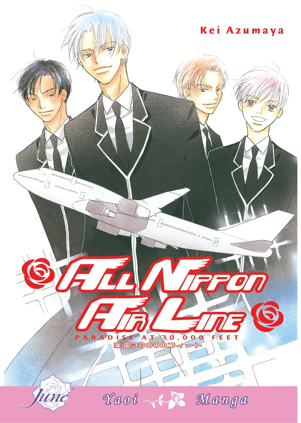 All Nippon Air Line: Paradise at 30,000 Feet