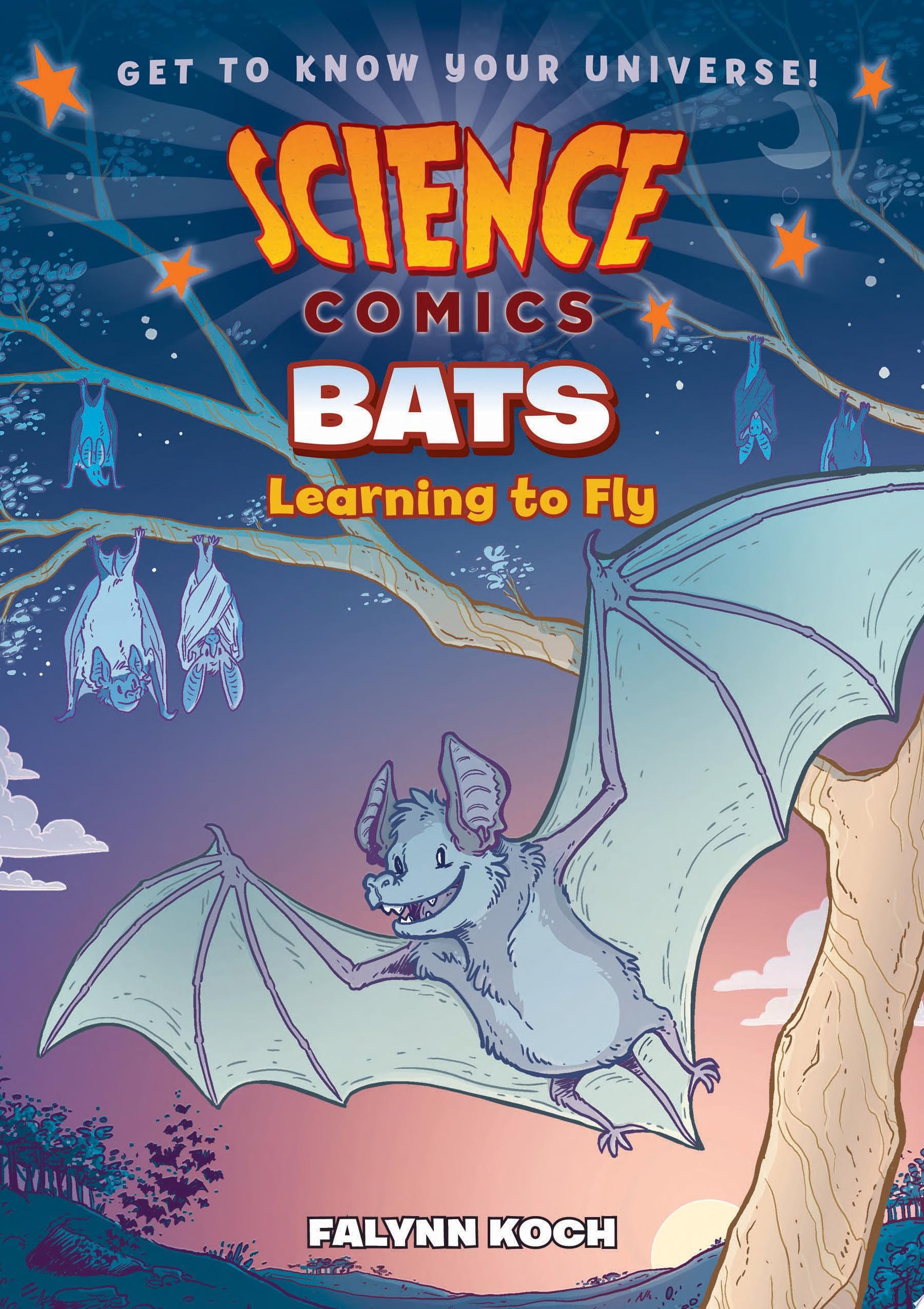 Bats: Learning to Fly #[nn] cover