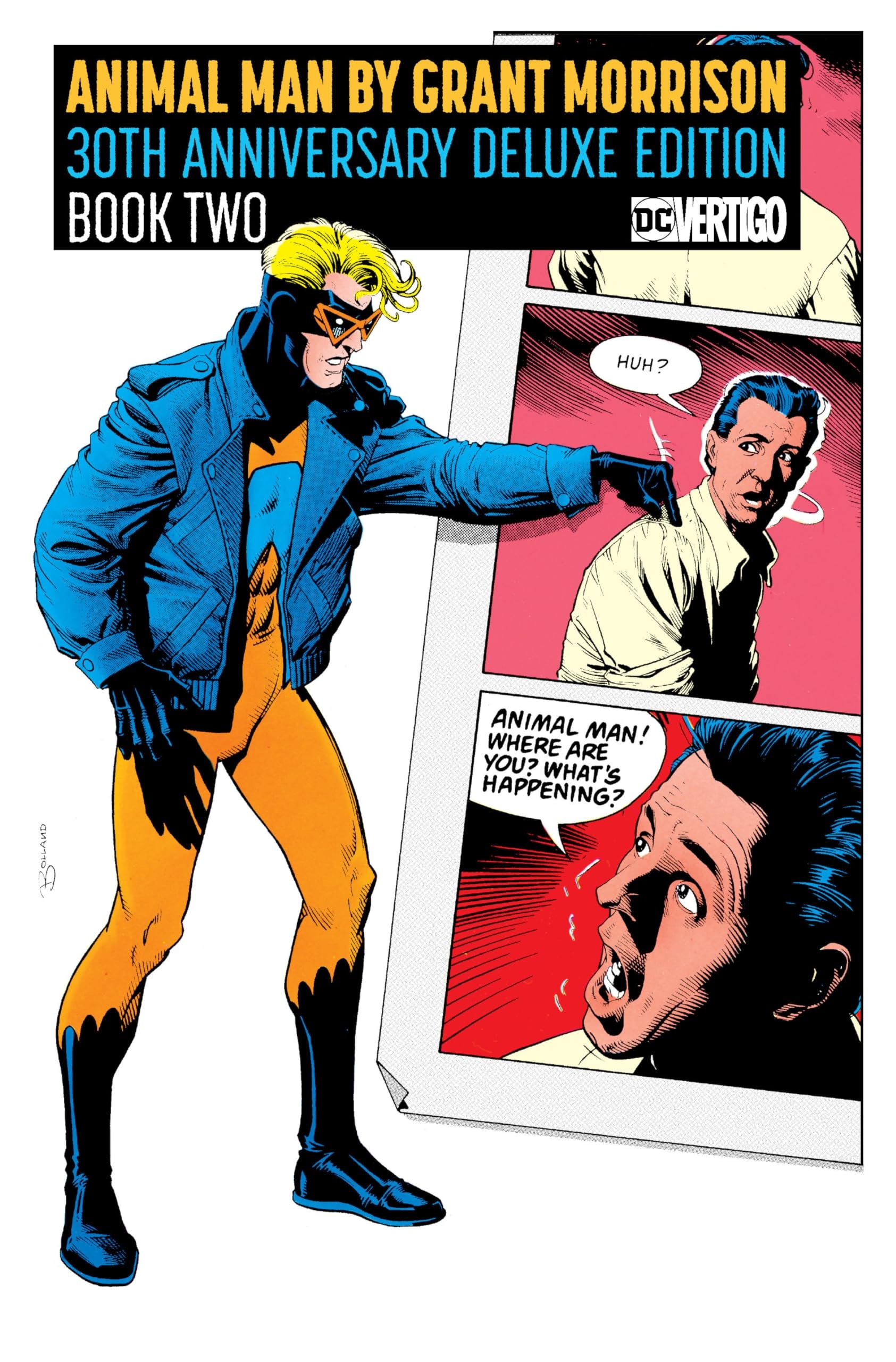 Animal Man by Grant Morrison 30th Anniversary Deluxe Edition #2 cover