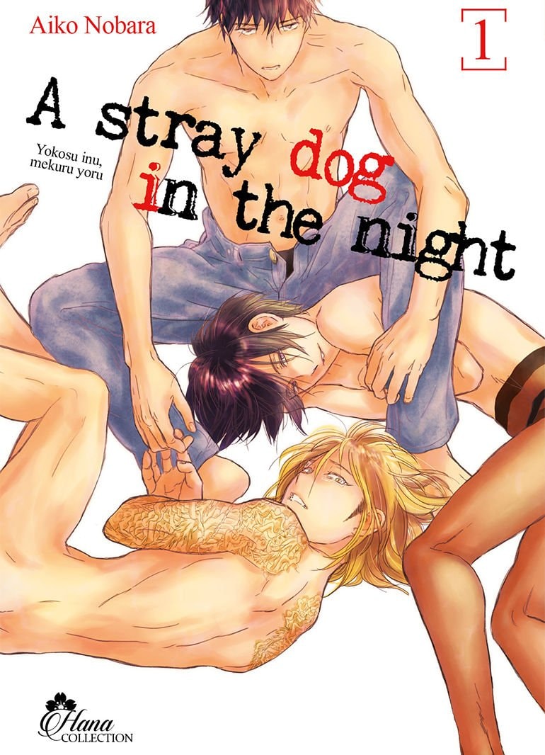A stray dog in the night