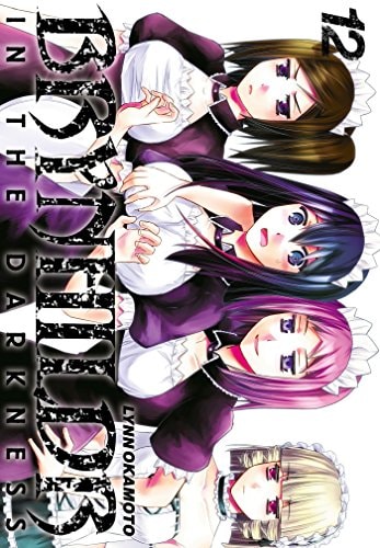 Brynhildr in the Darkness