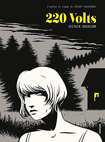 220 Volts