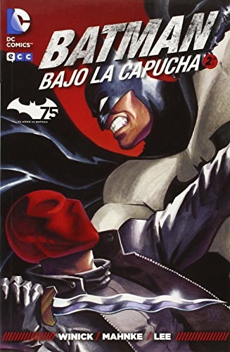 Batman: Bajo la Capucha