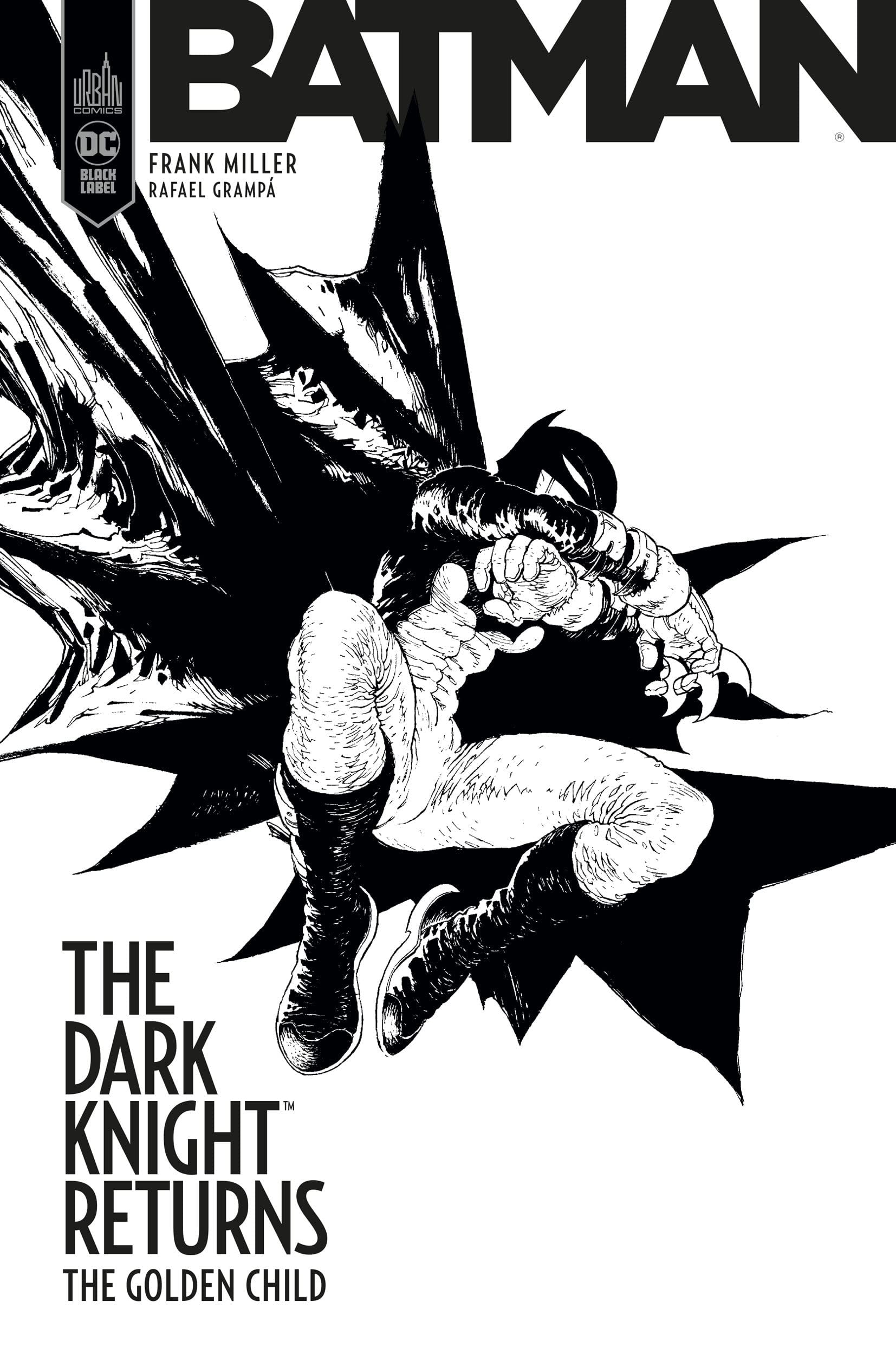 Batman - The Dark Knight returns : The Golden Child #[nn] cover