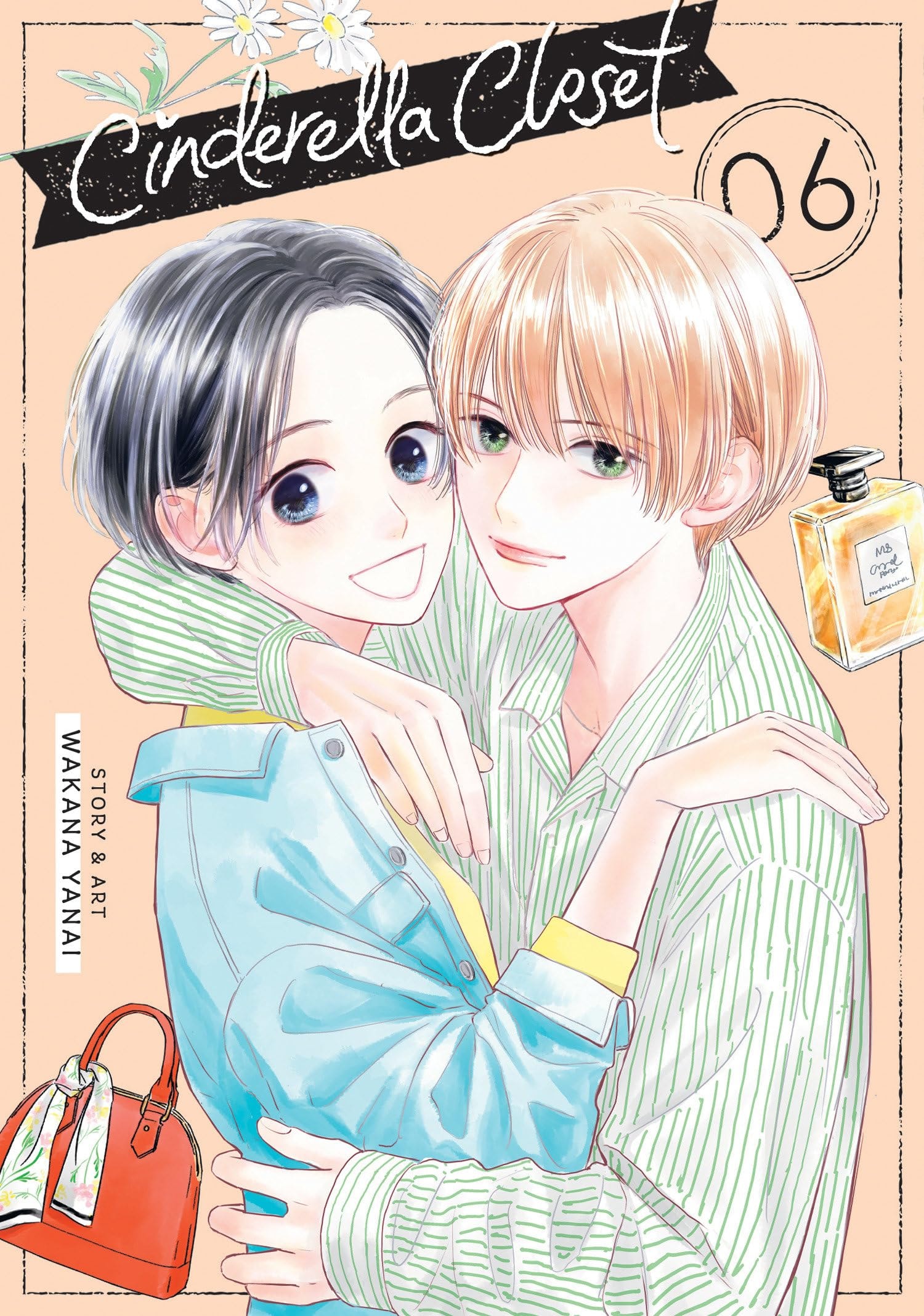 Cinderella Closet #6 cover