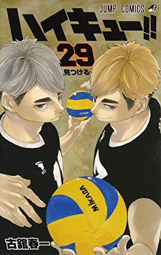 ハイキュー!! [Haikyu!!] #29 cover