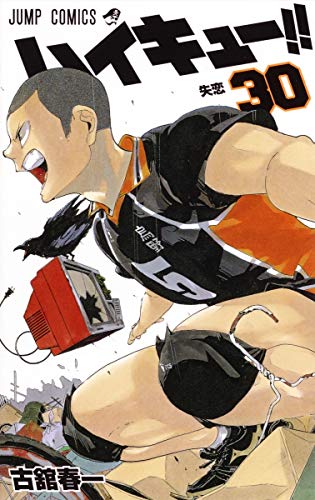 ハイキュー!! [Haikyu!!] #30 cover