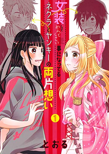 女装してめんどくさい事になってるネクラとヤンキーの両片想い