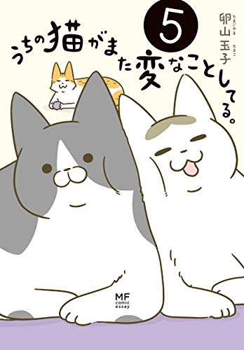 #5