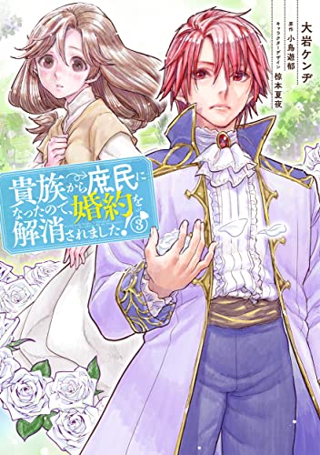 貴族から庶民になったので、婚約を解消されました! #3 cover
