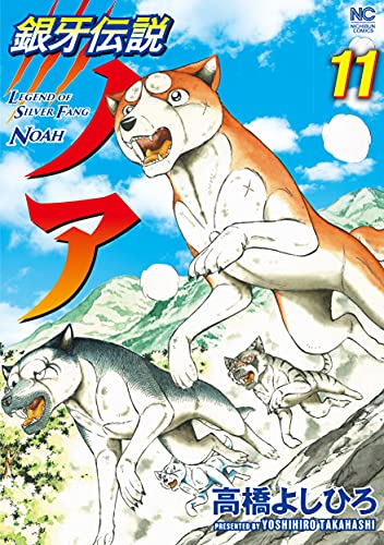 #11