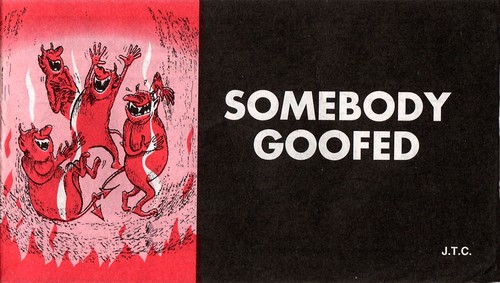 Somebody Goofed #[nn] cover
