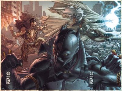 Fear Itself: Black Panther - The Man Without Fear #[nn] cover