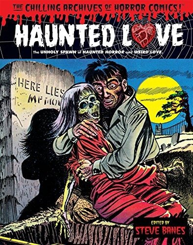 The Chilling Archives of Horror Comics! #20 cover
