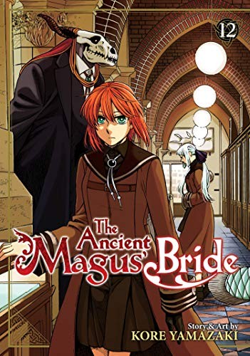 The Ancient Magus' Bride #12 cover