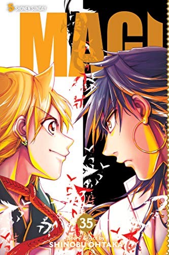 Magi: The Labyrinth of Magic #35 cover