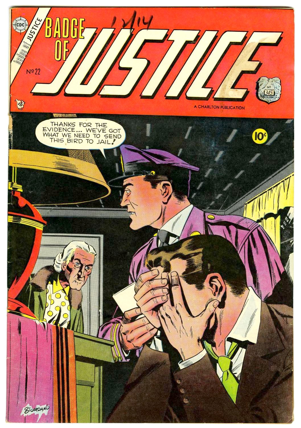 Badge of Justice #22 cover