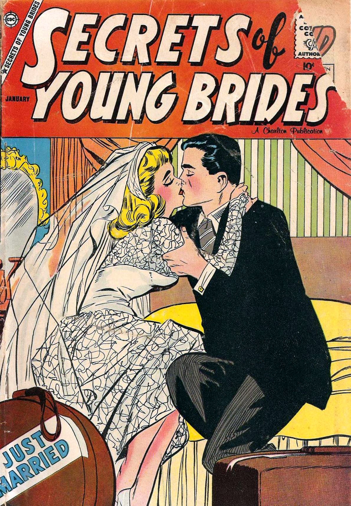 Secrets of Young Brides #27 cover