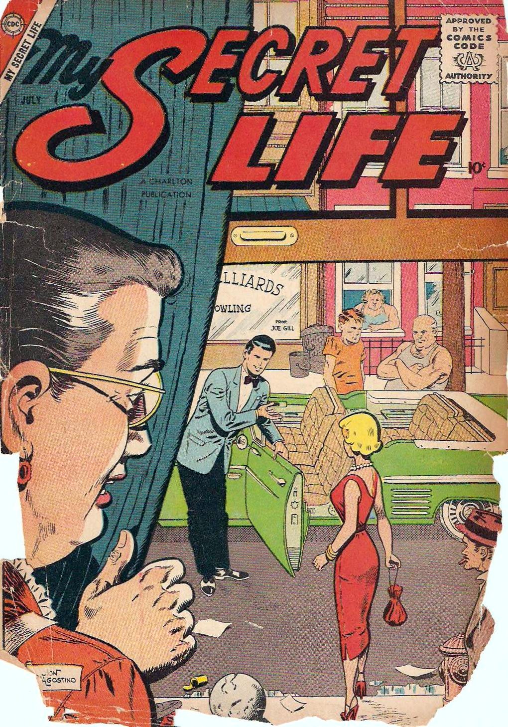 My Secret Life #24 cover