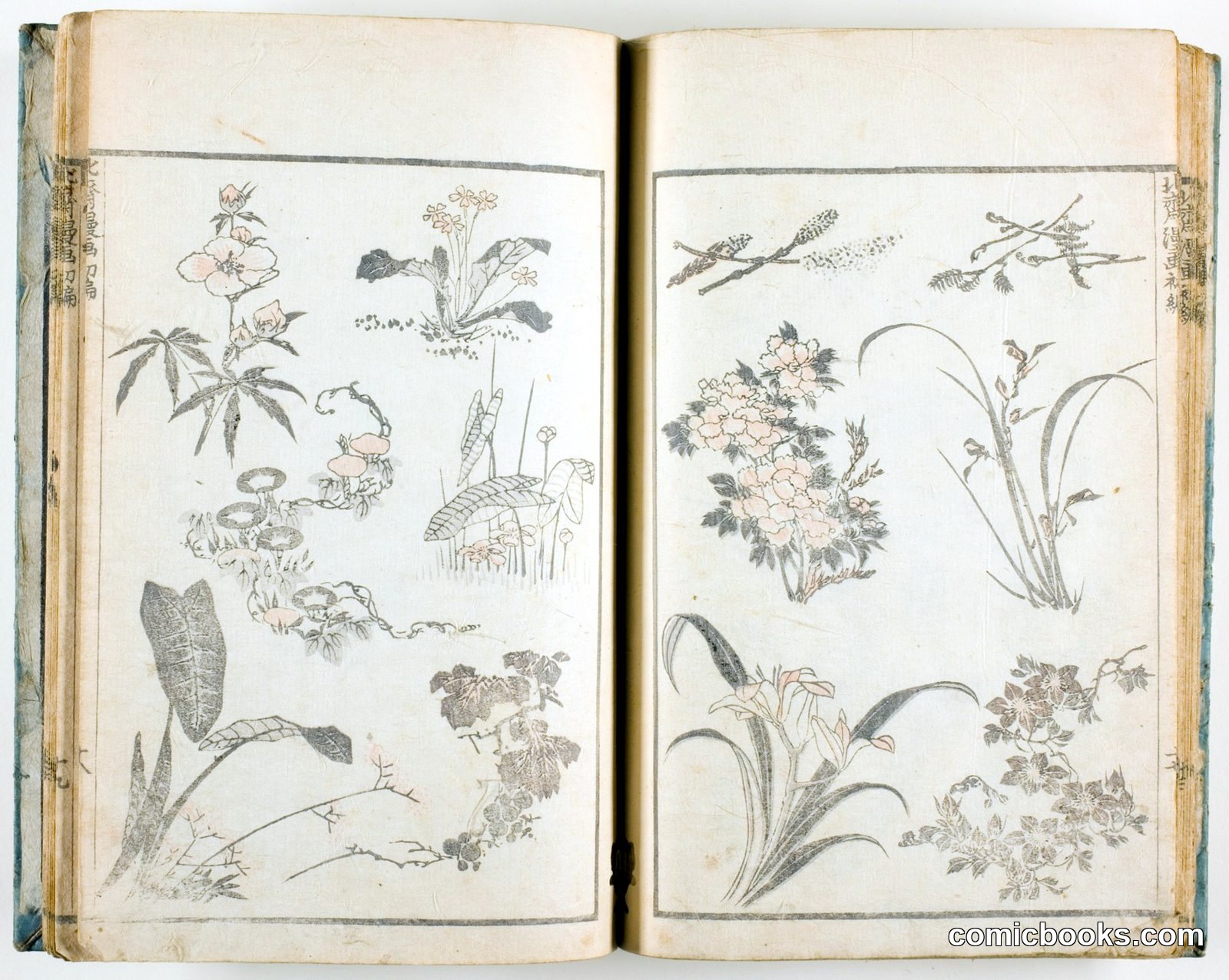 Hokusai Manga