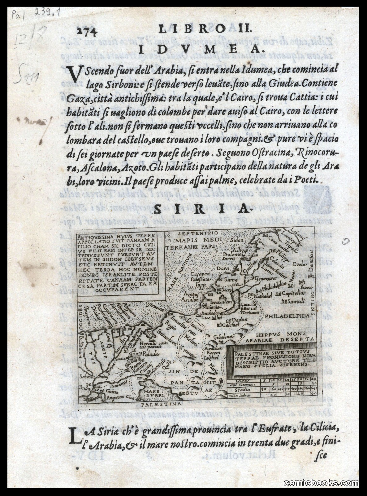 Palestinae sive totius terrae promissionis nova descriptio by Stella, Tilemann, 1525-1589