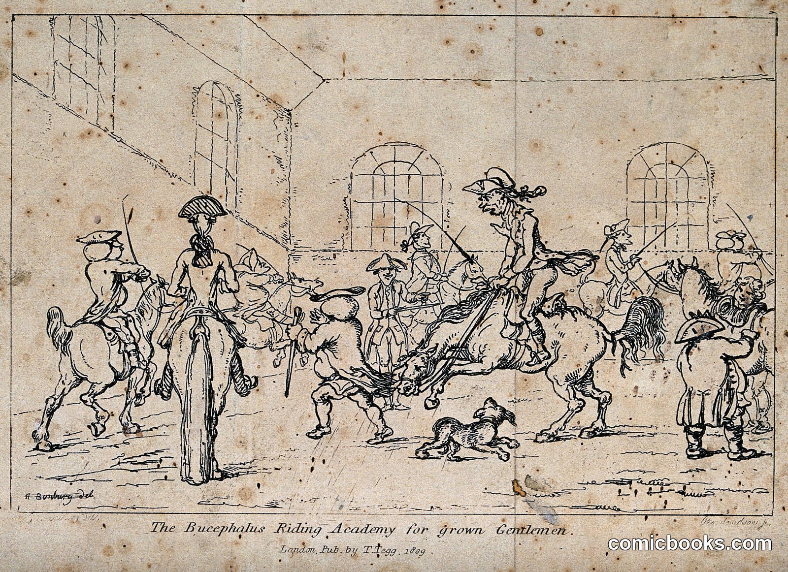 The Bucephalus Riding Academy for Grown Gentlemen
