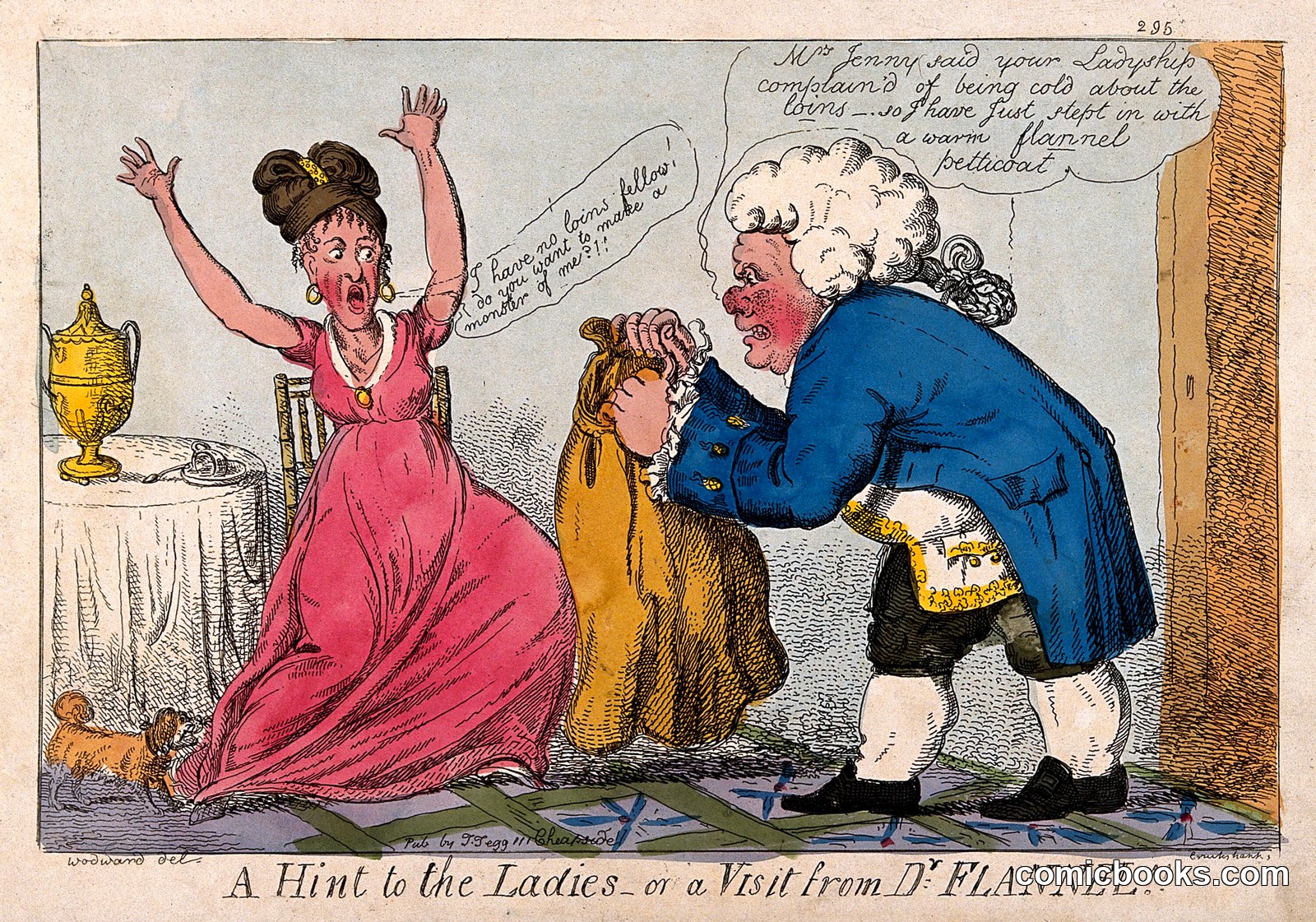 A Hint to the Ladies — or a Visit from Dr. Flannel by George Moutard Woodward