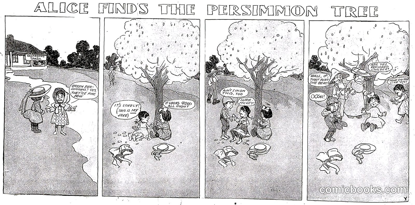 Alice Finds the Persimmon Tree