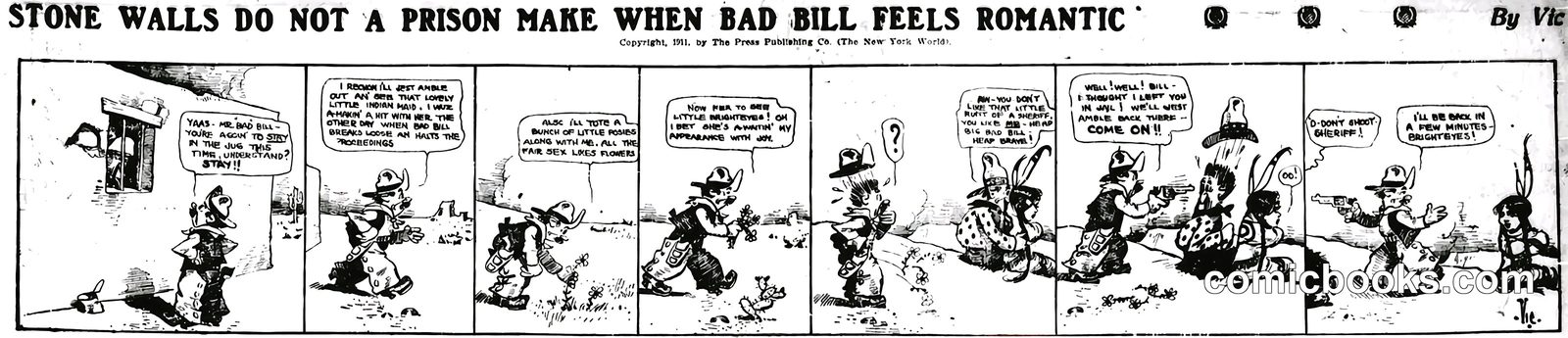 Bad Bill the Western Wildcat