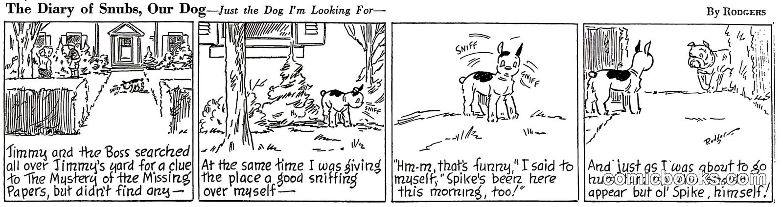 The Diary of Snubs, Our Dog