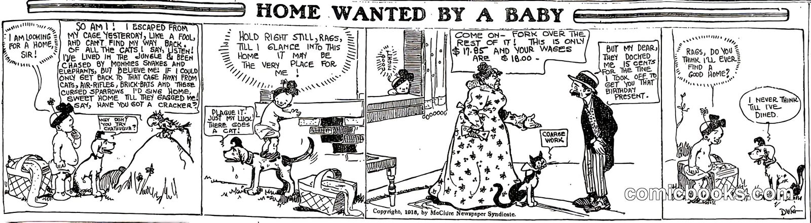 Home Wanted by a Baby