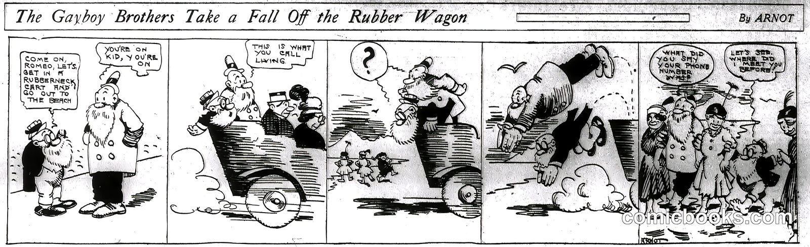 The Gayboy Brothers Take a Fall Off the Rubber Wagon