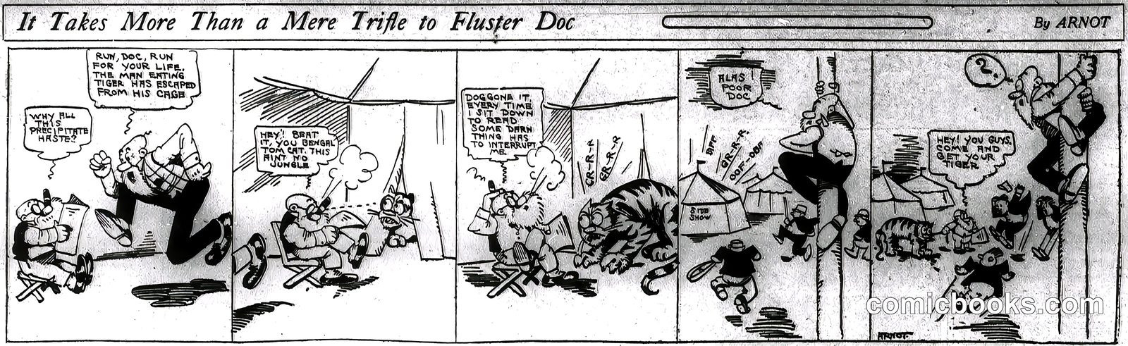 It Takes More Than a Mere Trifle to Fluster Doc