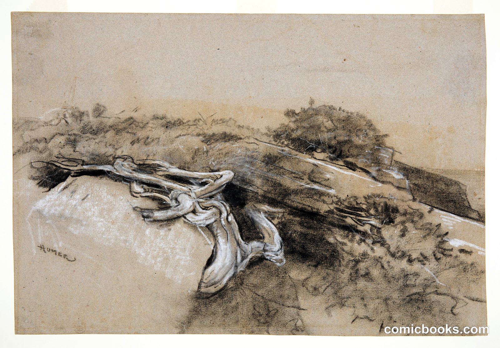 Tree Roots, Prout's Neck by Winslow Homer, American, 1836–1910