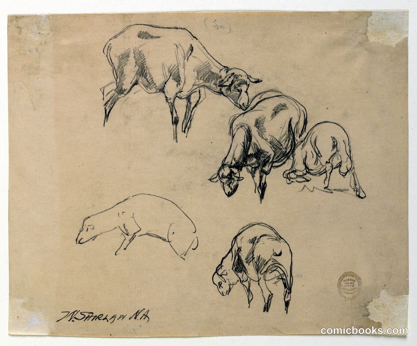 Studies of Sheep by Walter Shirlaw, American, b. Scotland, 1838–1909