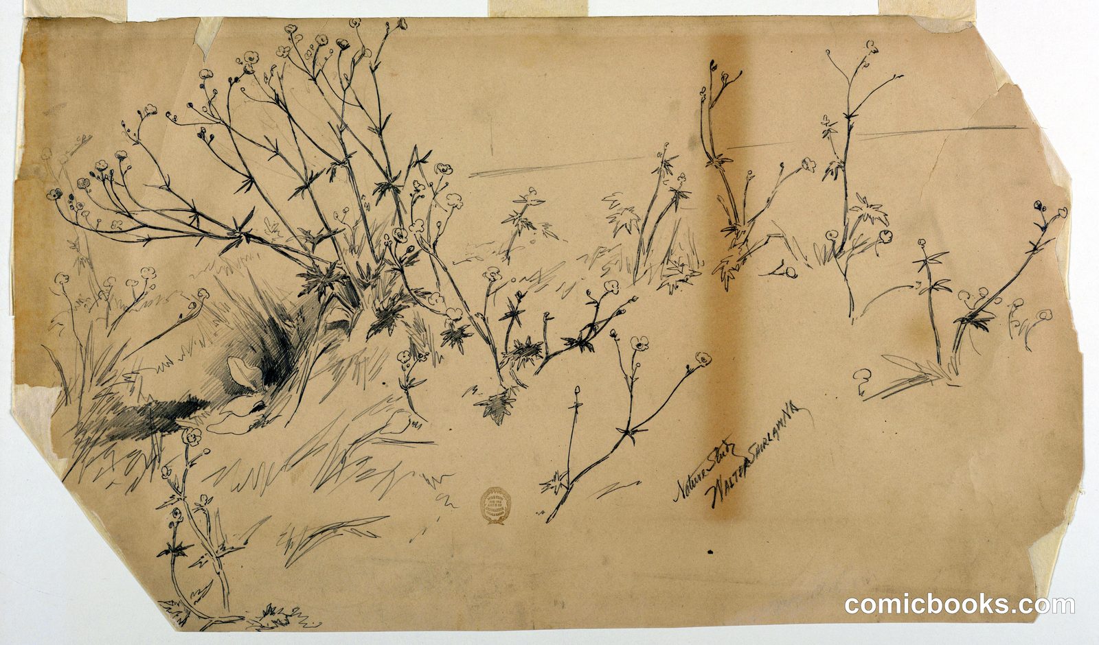 Nature Study by Walter Shirlaw, American, b. Scotland, 1838–1909