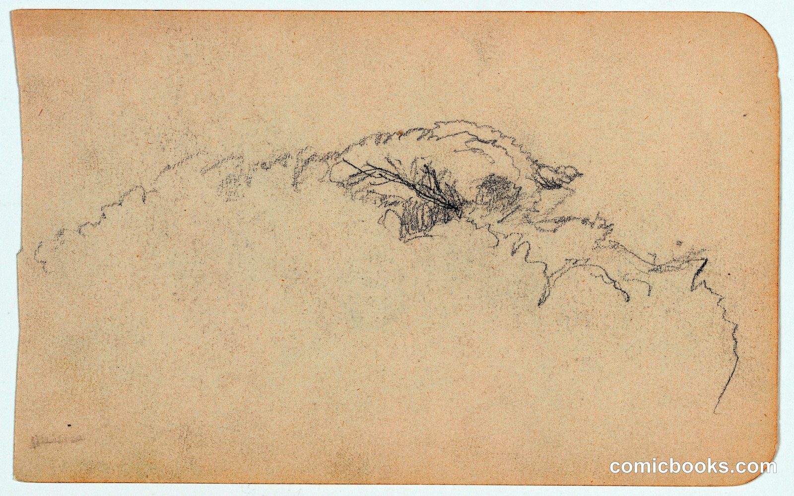 Study of Vegetation, Mexico by Frederic Edwin Church, American, 1826–1900