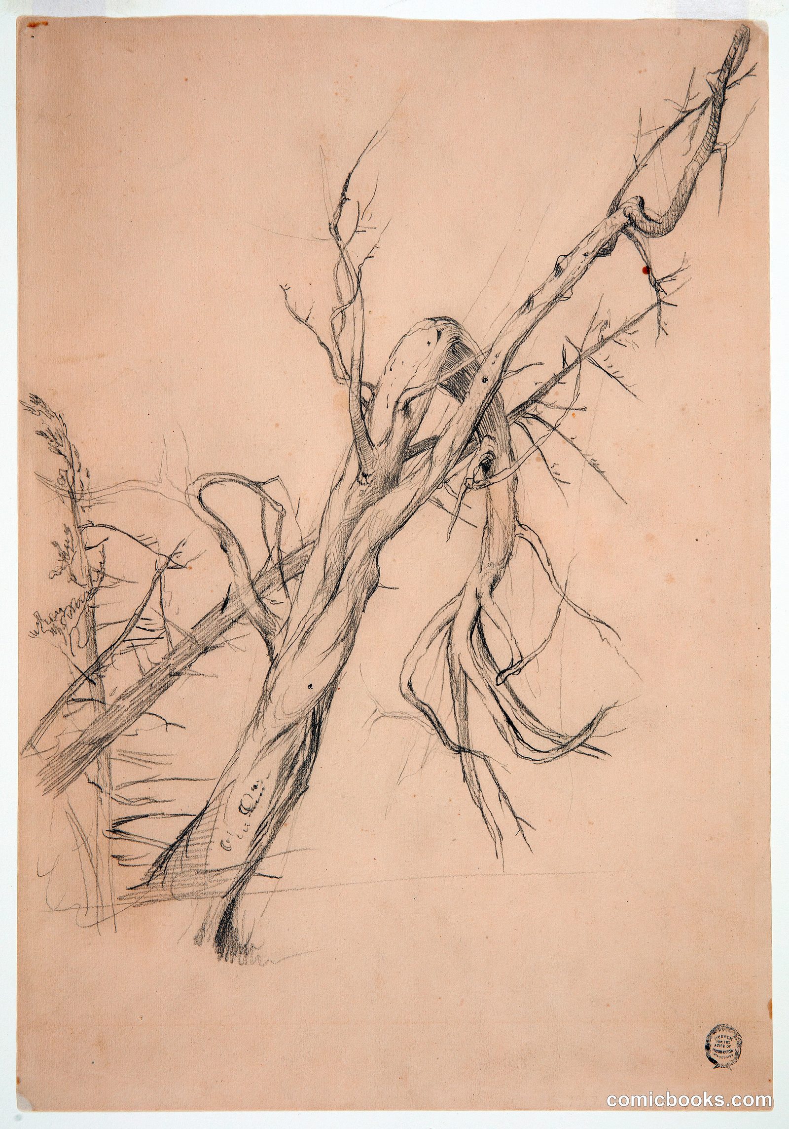 Gnarled Dead Tree by Frederic Edwin Church, American, 1826–1900