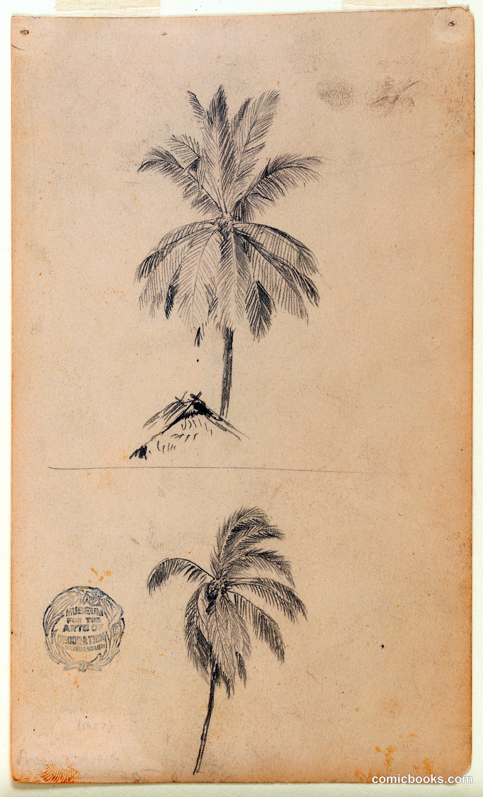 Coconut Palm, Two Views by Frederic Edwin Church, American, 1826–1900