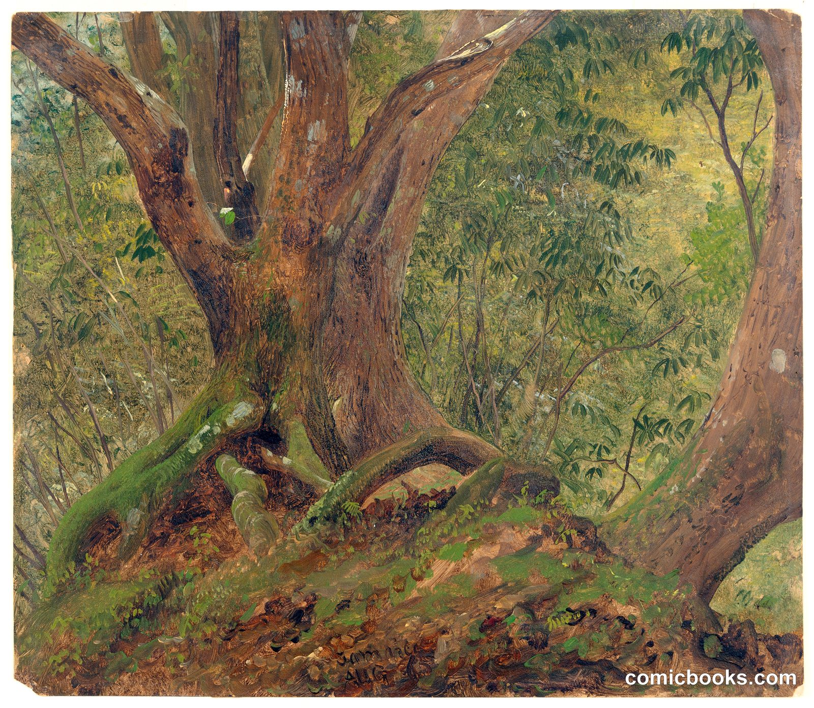 In the Jungle, Jamaica by Frederic Edwin Church, American, 1826–1900