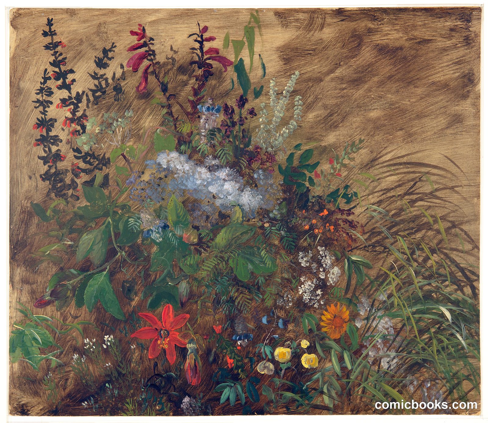 Wildflowers by Frederic Edwin Church, American, 1826–1900
