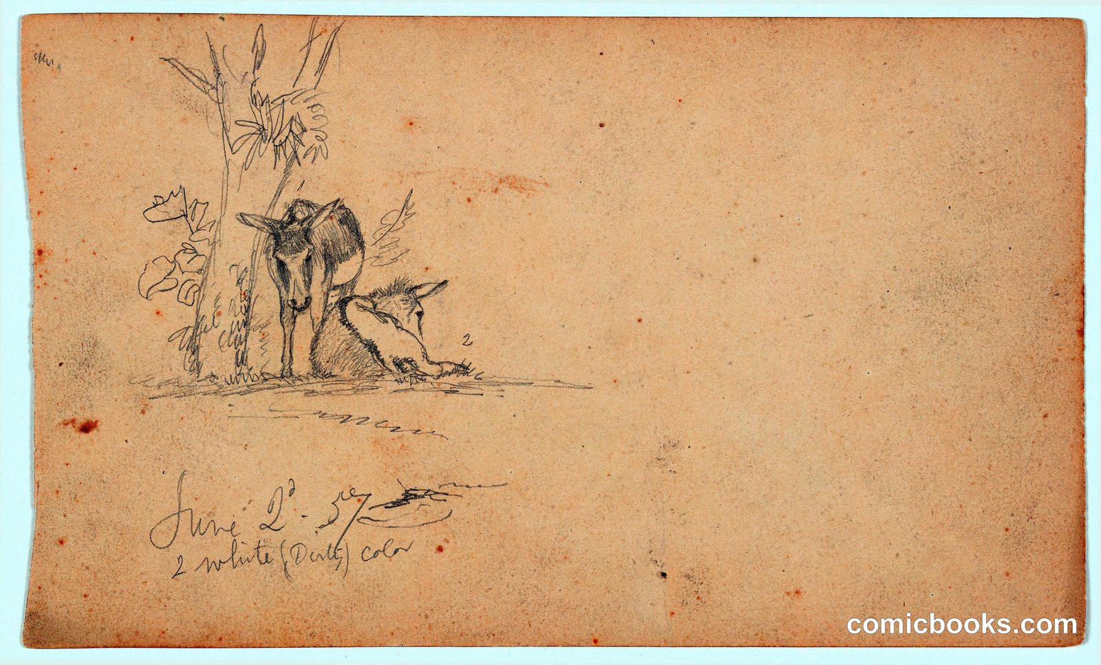 Study of Donkeys at Rest, Ecuador by Frederic Edwin Church, American, 1826–1900
