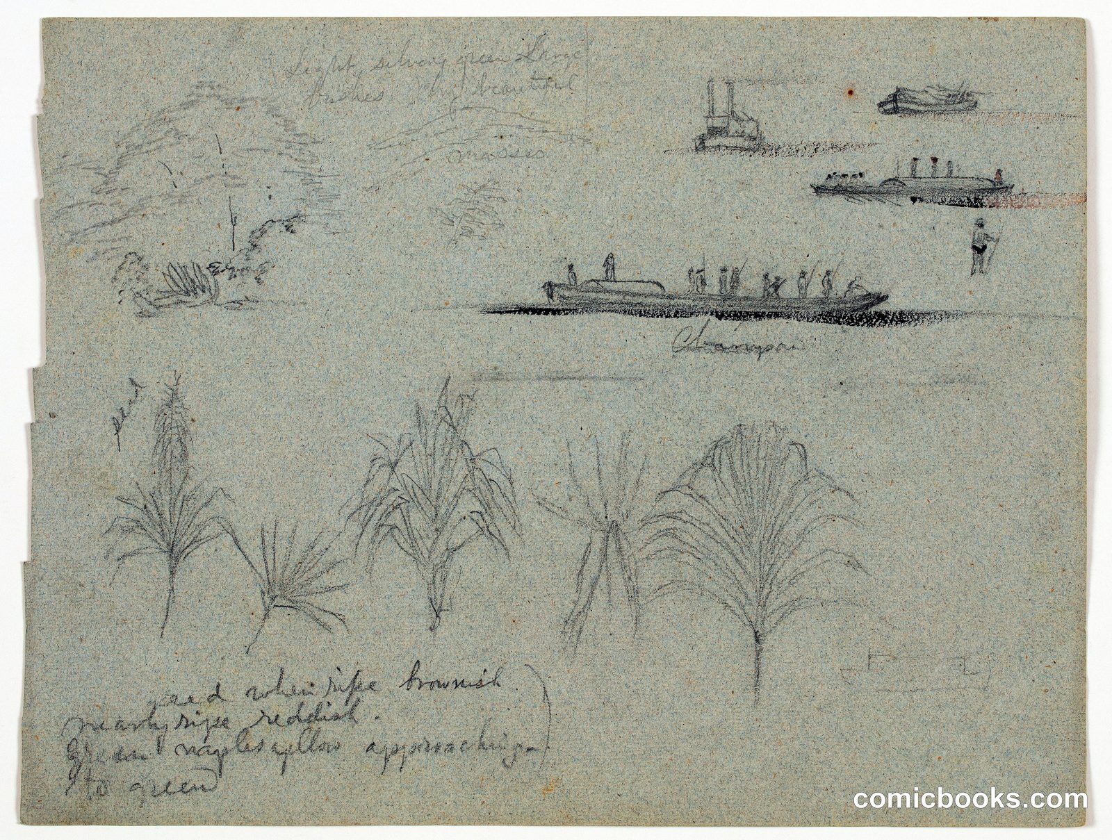 Sketches of Plants, a Steamer, and a Champan from the Río Magdalena, Colombia by Frederic Edwin Church, American, 1826–1900