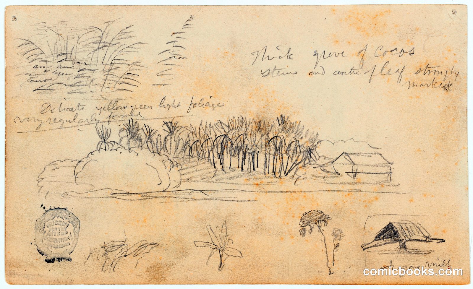 Mixed Sketches with a Coconut Grove and Sugar Mill, Ecuador by Frederic Edwin Church, American, 1826–1900